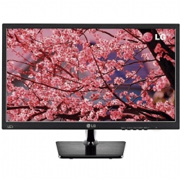 Monitor LG LED 18.5´ Widescreen, VGA - 19M37AA - 25641