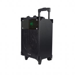 CAIXA DE SOM AMPLIFICADA 300 WRMS - 25912